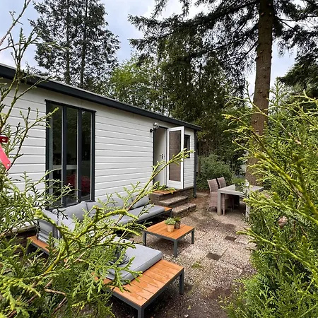 Holidayhouse On Park De Ijsvogel Swimmingpool Restaurant And Facilities Voorthuizen