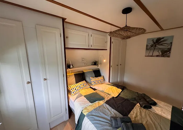 Holidayhouse On Park De Ijsvogel Swimmingpool Restaurant And Facilities *