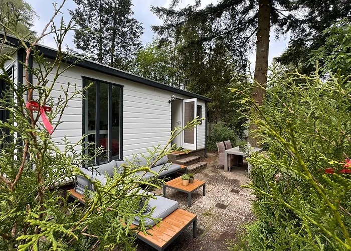 Holidayhouse On Park De Ijsvogel Swimmingpool Restaurant And Facilities Voorthuizen